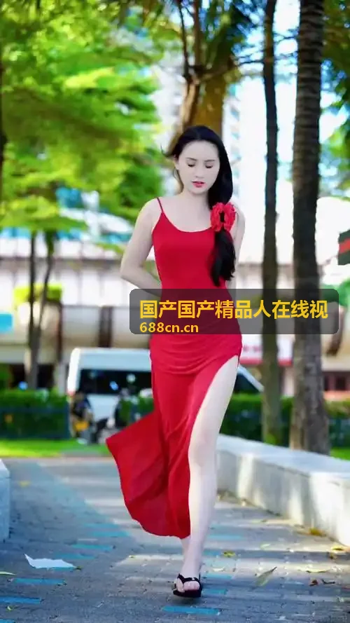 国产国产精品人在线视端到端传输加密